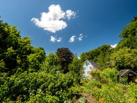 Lambertsmühle Fachwerkhaus inmitten üppiger, grüner Natur unter blauem Himmel mit weißen Wolken.