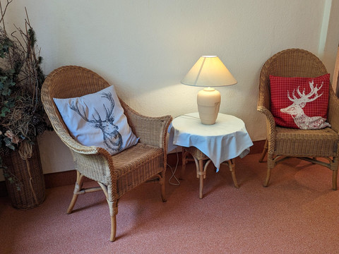 PXL_20230609_134010352