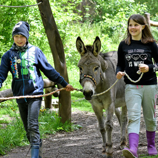heinz-sielmann-stiftung-natur-erlebniszentrum-2