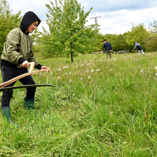 Heinz-Sielmann-Stiftung, Natur-Erlebniszentrum