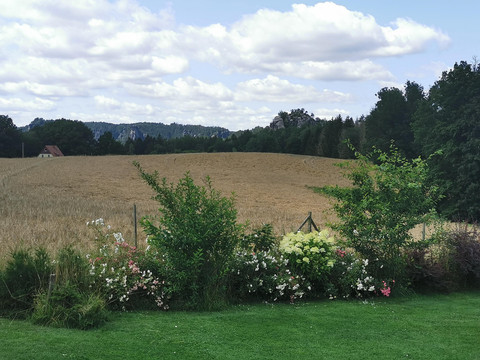 Blick auf die berühmten Bastei-Felsen