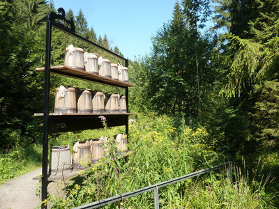 Harzer Hexen Stieg - Erlebnisinsel Altenau