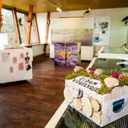 Ausstellung in der Eidum Vogelkoje