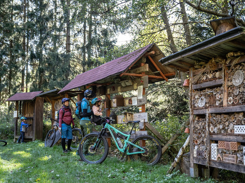 Grünes Klassenzimmer im Gimmlitztal