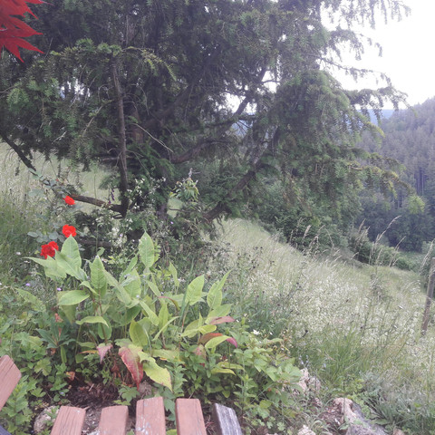 Sommerbergparadies Die Aussichtsbänke im Garten Ho