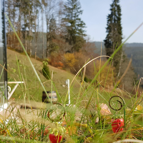 Sommerbergparadies Terrasse Richtung Osten Hoffman