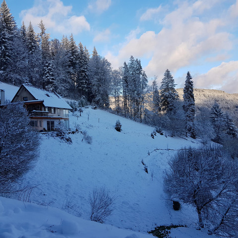 Sommerbergparadies Umgebung Haus Hoffmann