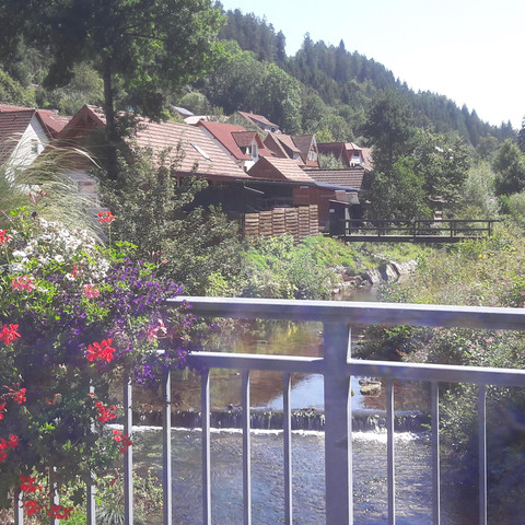 Sommerbergparadies Schönmünzach Hoffmann