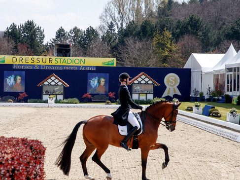 Dressurreiter auf braunem Pferd in Sandarena, im Hintergrund grüne Bäume.