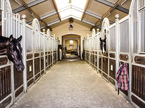 Zwei Pferde schauen neugierig aus gepflegten Boxen in einem hellen, modernen Stall.