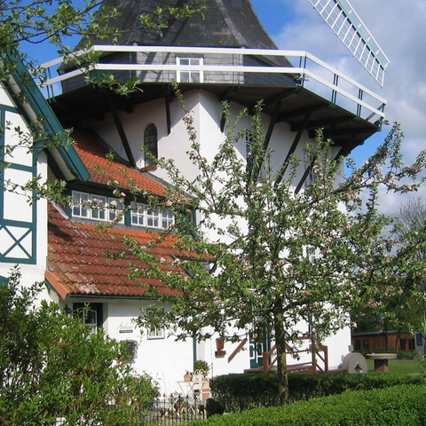 atelier-im-muehlenhaus-in-rieseby.jpg