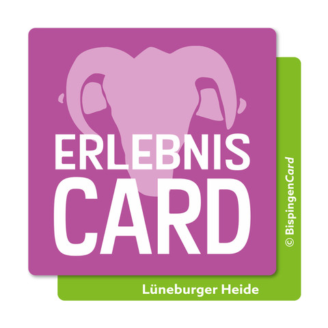 Wald erleben mit allen Sinnen