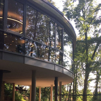 Alternativer Bärenpark WORBIS