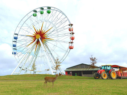 Sonnenlandpark mit Riesenrad + Parkbahn