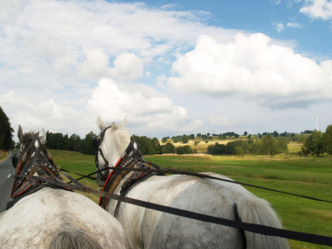 Kremserfahrt - Kopie