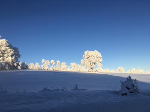 Näher Umgebung im Winter