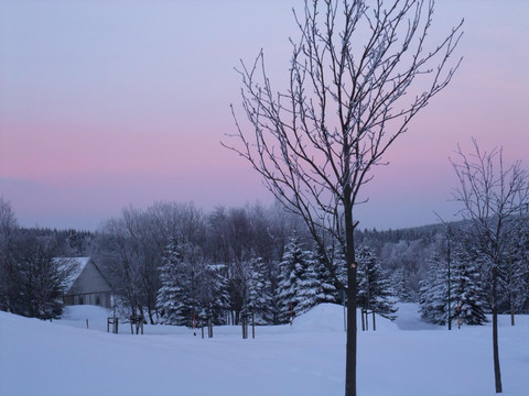 Winterimpression