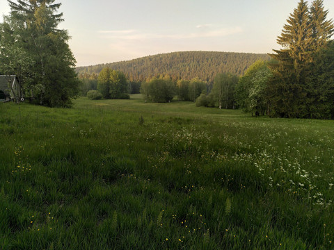 Extensive Gebirgswiesen