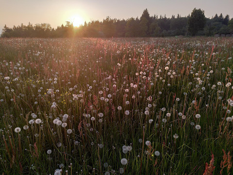 Abendstimmung