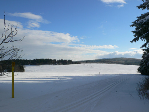 Nähe am Loipensystem
