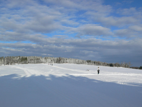 Winterimpression
