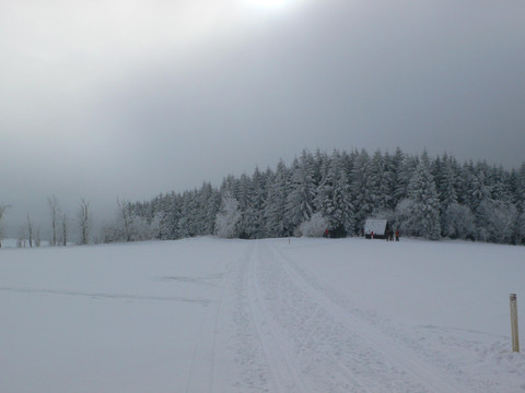 Winterimpression