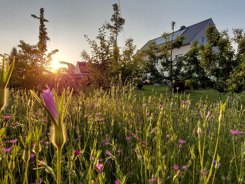 Sommerabend
