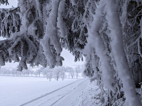 Winterlandschaft rund um Dörfel