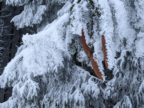 Winterlandschaft rund um Dörfel