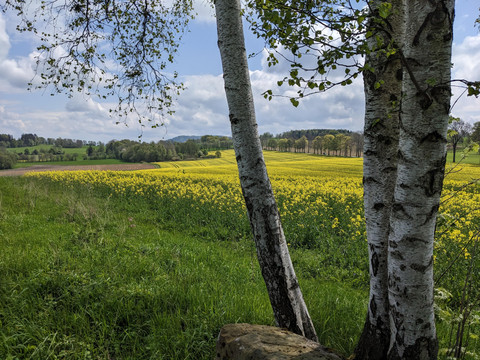 Frühling rund um Dörfel