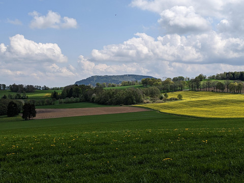 Blick von Dörfel zum Pöhlberg