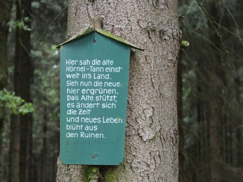 An der Hörneltanne in Olbernhau