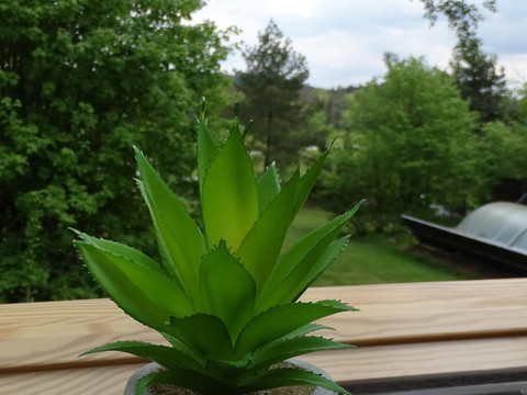 Ausblick aus dem Küchenfenster