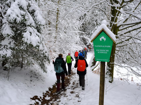 Geführte Winterwanderung des Tourist Service Bad Schandau Menschen wandern auf einem verschneiten Pfad im Nationalpark Sächsische Schweiz, umgeben von schneebedeckten Bäumen und einem grünen Parkschild.People walking along a snow-covered path in the Saxon Switzerland National Park, surrounded by snow-covered trees and a green park sign.Lidé jdoucí po zasněžené cestě v Národním parku Saské Švýcarsko, obklopeni zasněženými stromy a zelenou značkou parku.Ludzie spacerujący zaśnieżoną ścieżką w Parku Narodowym Szwajcarii Saksońskiej, otoczeni ośnieżonymi drzewami i zielonym znakiem parku.Mensen wandelen over een besneeuwd pad in het Nationaal Park Sächsische Schweiz, omringd door besneeuwde bomen en een groen parkbord.Persone che camminano lungo un sentiero innevato nel Parco Nazionale della Svizzera Sassone, circondate da alberi innevati e da un cartello verde del parco.