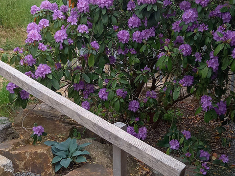 ferienhaus sehma garten1