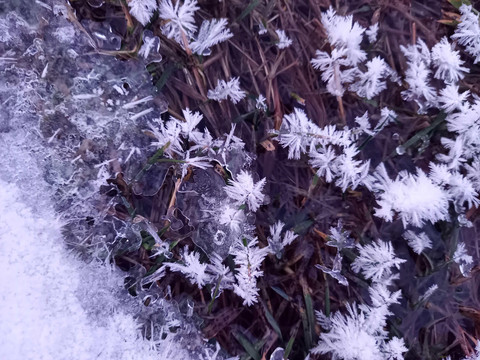 ferienhaus sehma winter