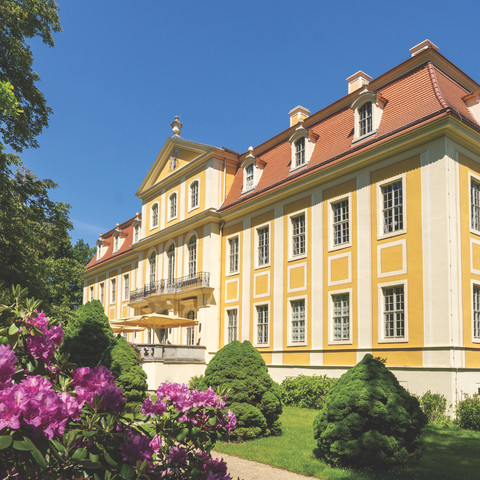 Rear view of the Baroque castle in Rammenau Rear view of the Baroque castle in Rammenau