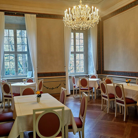 Cornflower Room in the Baroque Castle of Rammenau