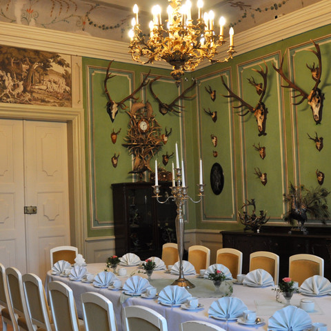 Hunting salon in the Baroque castle of Rammenau