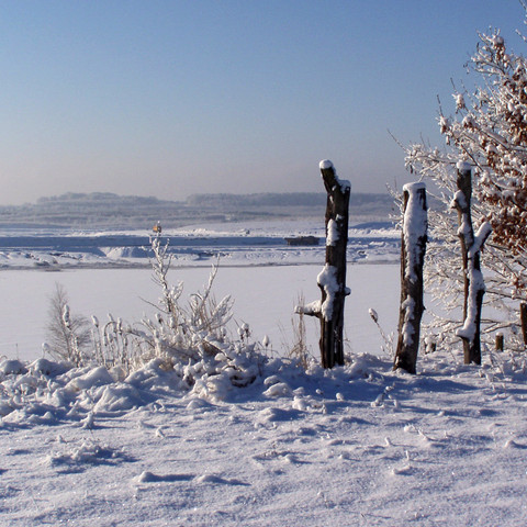 Wanninchen_Winter 2009_SH.jpg