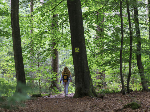 Eine Person mit Rucksack wandert auf einem bewaldeten Pfad unter dichtem grünen Laub.