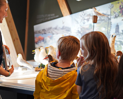 Ausstellung Führung KatSchulz DSC04.JPG