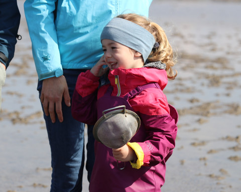 Watt Erlebnis KatSchulz DSC8609 größe.jpg