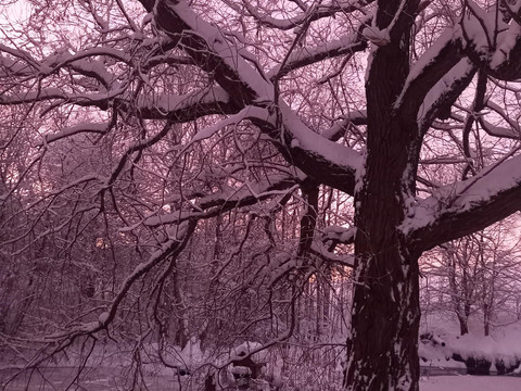 FH Sinneswandel winter