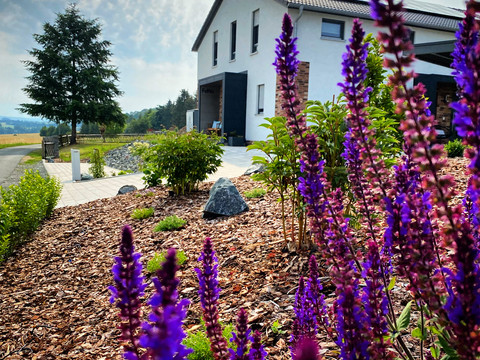 Urlaub direkt am Elsterradweg in schöner Natur