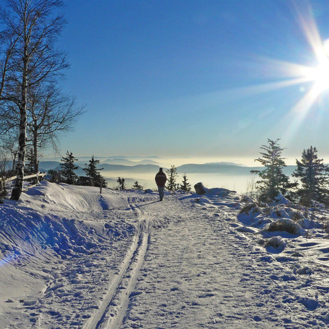 Winterlandschaft