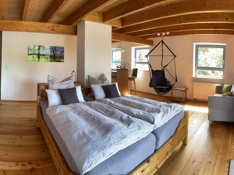 Panorama Bett und Regal Bio Apartment