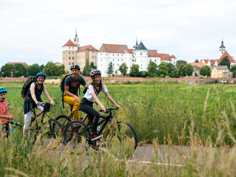 Torgau_am_Elberadweg