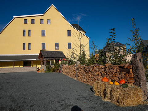 Wurzelrudis Hostel Eibenstock