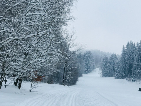 Winter im Zittauer Gebirge